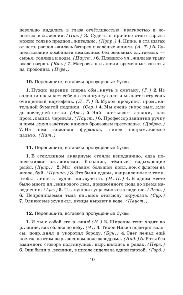 Praktikum der russischen Sprache für Schüler der Oberstufe und Hochschulbewerber