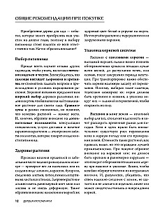60 paruoštų sprendimų jūsų sodui. Peizažinės kompozicijos su medžiais, krūmais ir daugiamečiais augalais