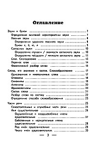 Russische Sprache in Tabellen, Diagrammen und Algorithmen
