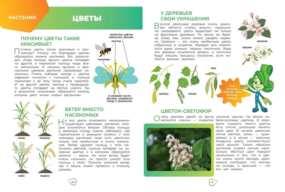 Fiksiki. Jak wszystko jest zorganizowane? Główna wiedza o świecie