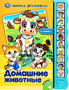 Garso knyga - Kambariniai gyvūnai