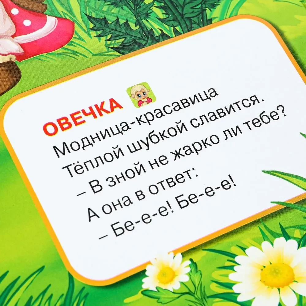 Garso knyga - Kambariniai gyvūnai