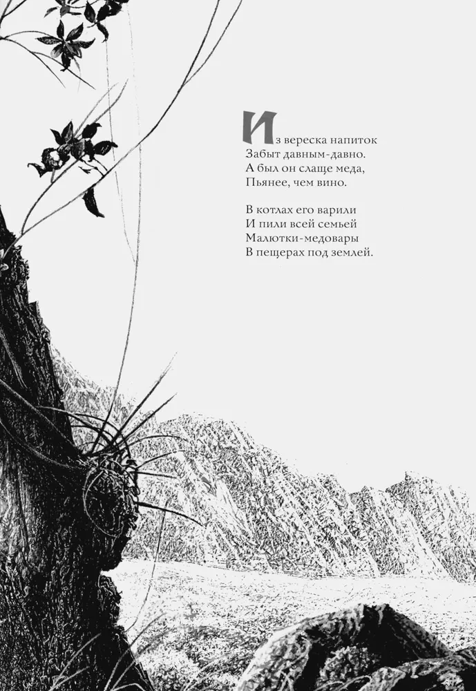 Вересковый мёд