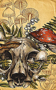 Grimoire der grünen Magie. Zauber, Rituale und Talismane