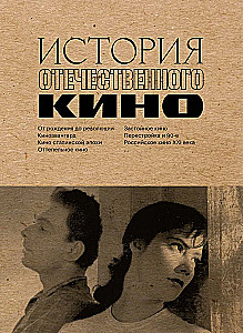 The History of Domestic Cinema