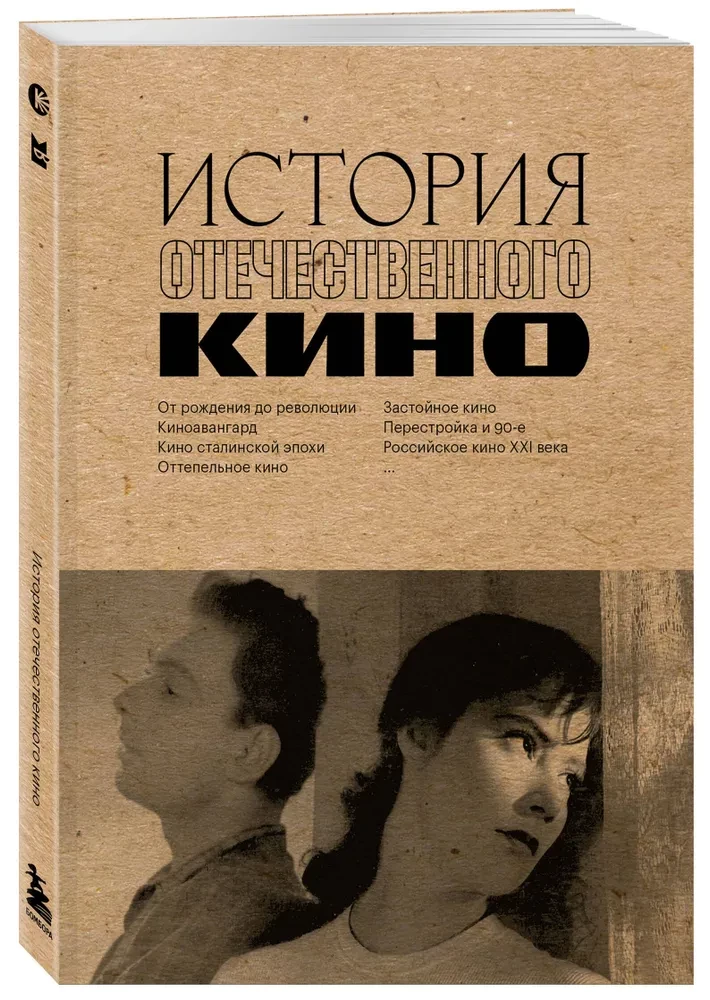 The History of Domestic Cinema