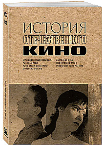 The History of Domestic Cinema