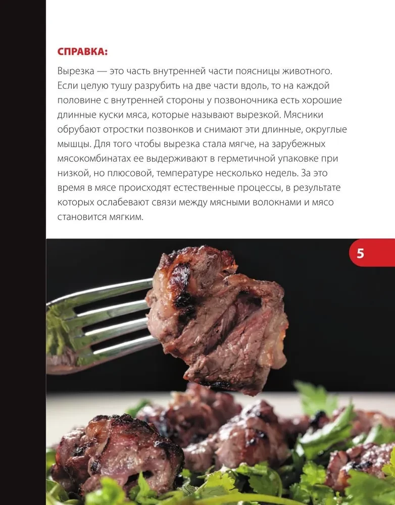 Über Schaschlik