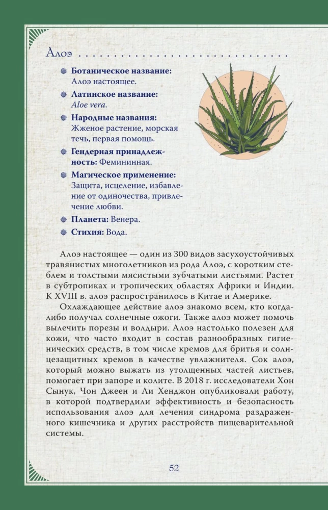 The Magical World of Herbs. Recipes and Rituals for Life