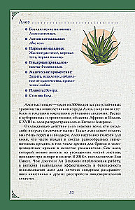 The Magical World of Herbs. Recipes and Rituals for Life