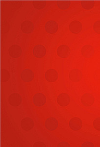 Ladybug ir Superkatė. Stebuklingas dienoraštis su anketomis ir lipdukais