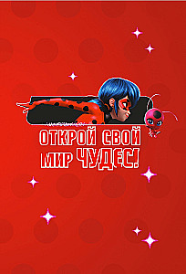 Ladybug ir Superkatė. Stebuklingas dienoraštis su anketomis ir lipdukais