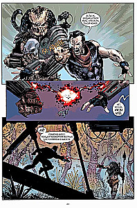 Predator. Fire and Stone