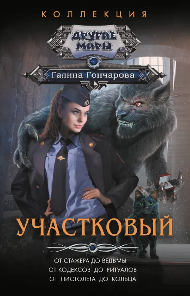The District Officer