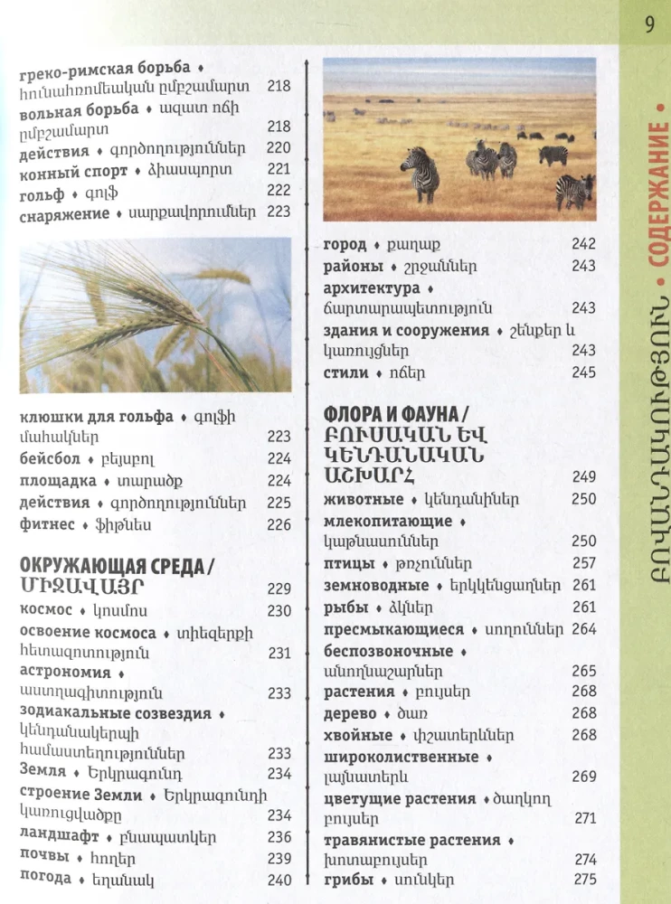 Armenian-Russian Visual Dictionary with Transcription