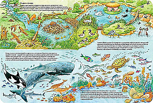 Die Welt der Tiere