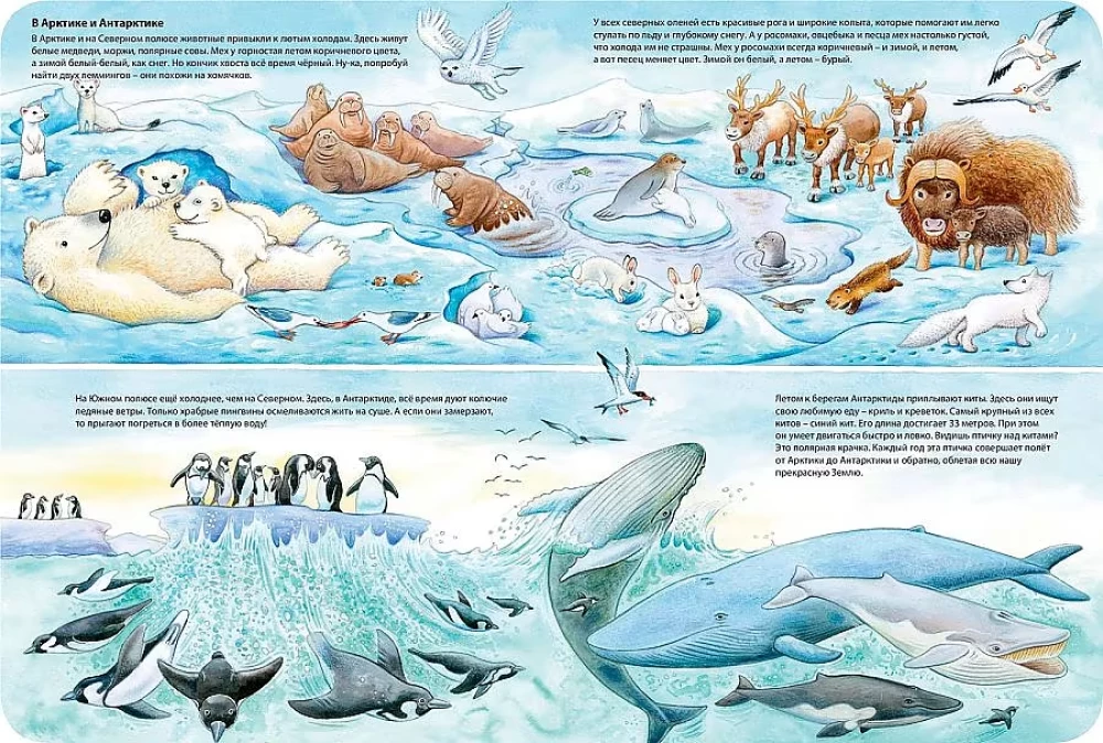 Die Welt der Tiere