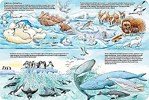 Die Welt der Tiere
