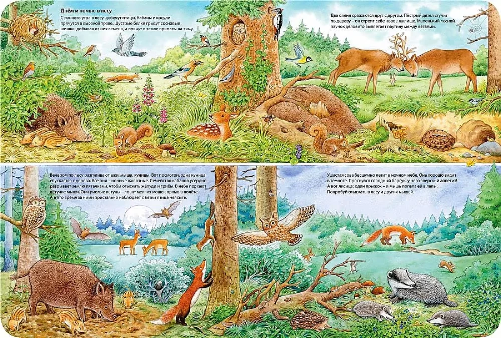 Die Welt der Tiere