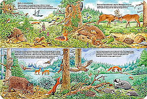 Die Welt der Tiere