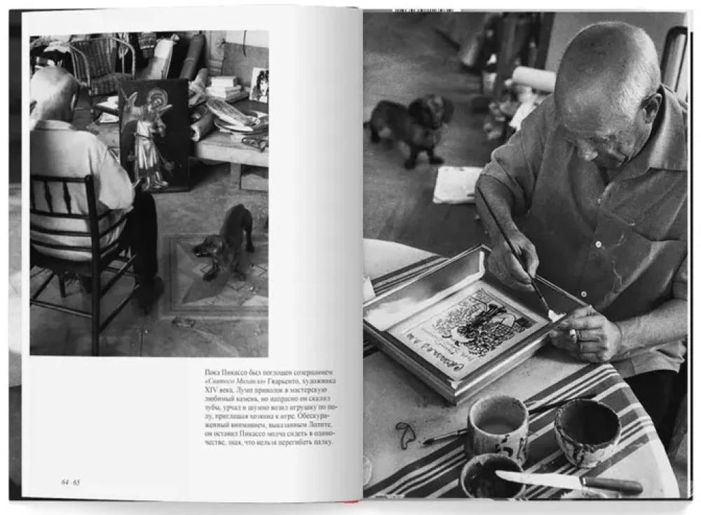 Lump — the dog that ate Picasso