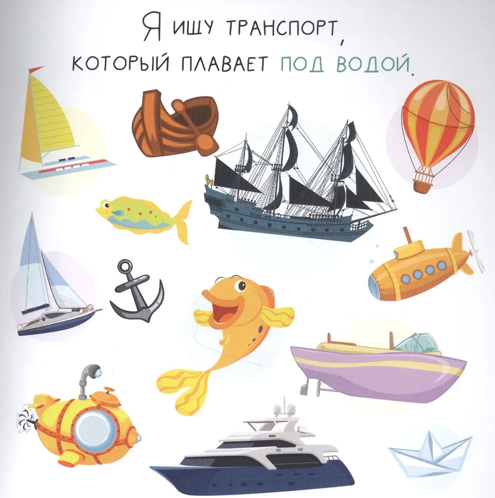 I Search. Transport