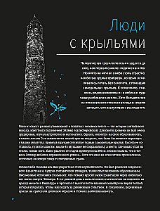 Физика полетов. От первых планеров до современных коптеров