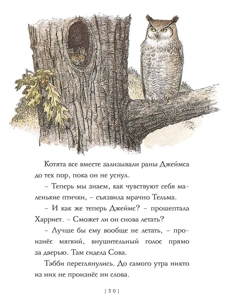 Крылатые кошки