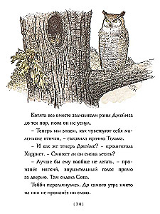 Крылатые кошки