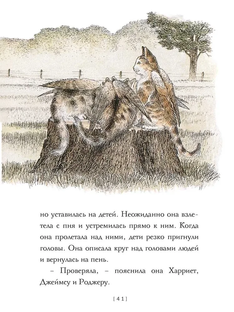 Крылатые кошки