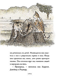 Крылатые кошки