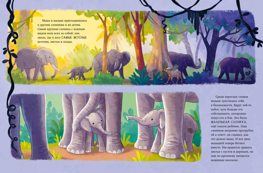 Der kleine Elefant. Abenteuer in Afrika