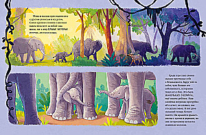 Der kleine Elefant. Abenteuer in Afrika