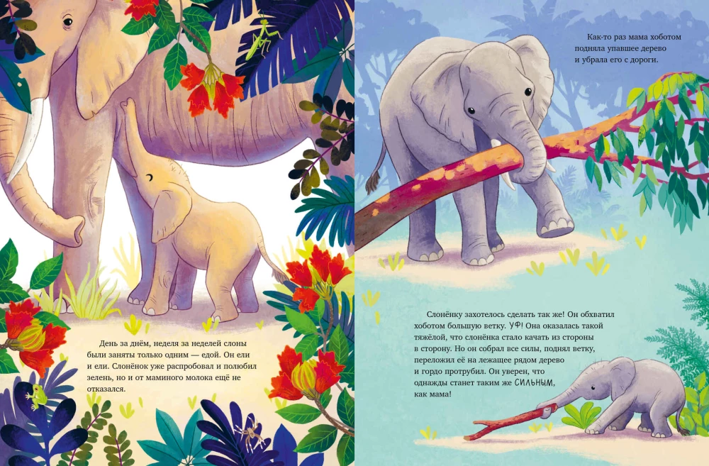 Der kleine Elefant. Abenteuer in Afrika