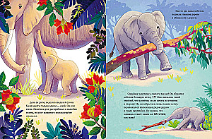 Der kleine Elefant. Abenteuer in Afrika