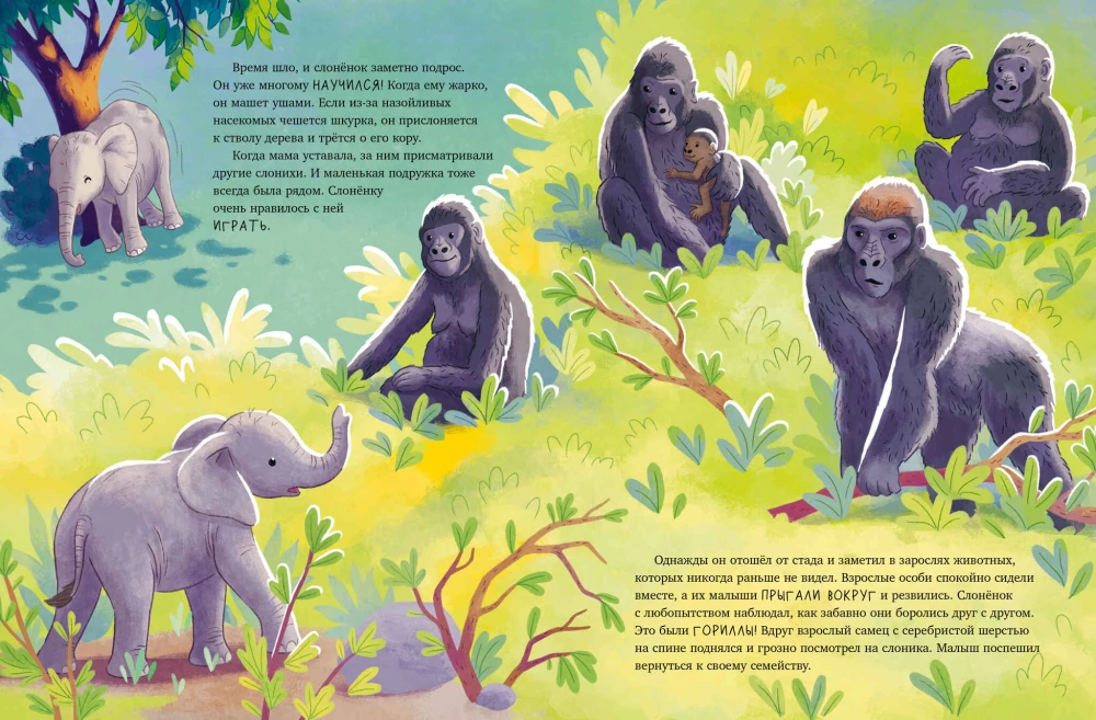 Der kleine Elefant. Abenteuer in Afrika