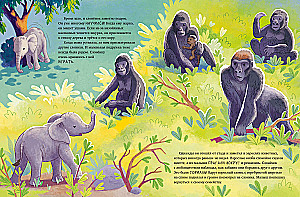 Der kleine Elefant. Abenteuer in Afrika