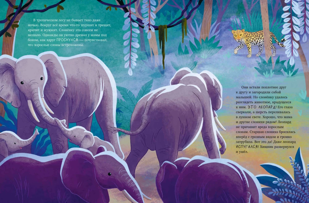 Der kleine Elefant. Abenteuer in Afrika