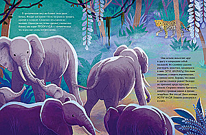 Der kleine Elefant. Abenteuer in Afrika