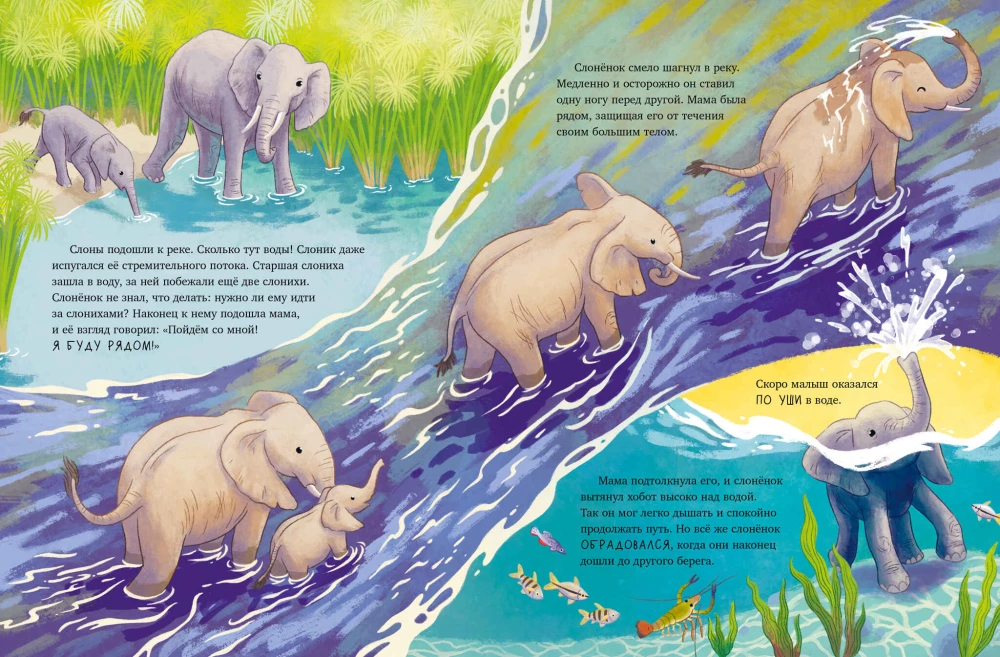 Der kleine Elefant. Abenteuer in Afrika