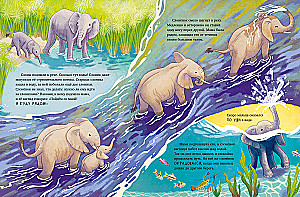 Der kleine Elefant. Abenteuer in Afrika