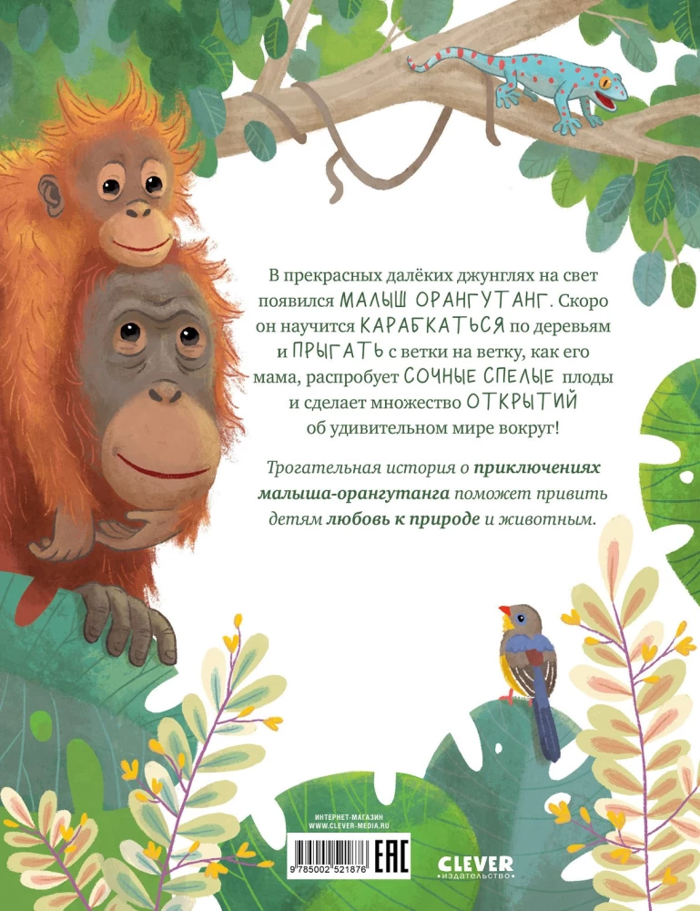 Baby-Ora­ng-Utan. Abenteuer in den Tropen