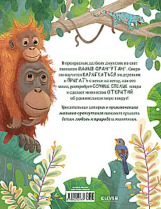 Baby-Ora­ng-Utan. Abenteuer in den Tropen