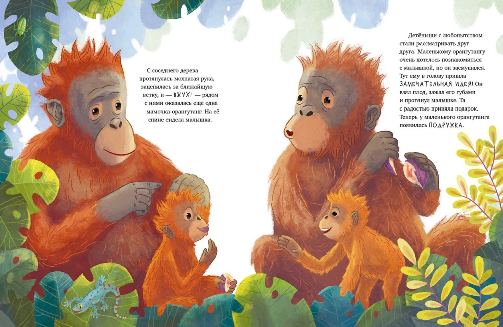 Baby-Ora­ng-Utan. Abenteuer in den Tropen