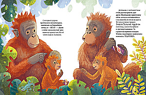 Baby-Ora­ng-Utan. Abenteuer in den Tropen