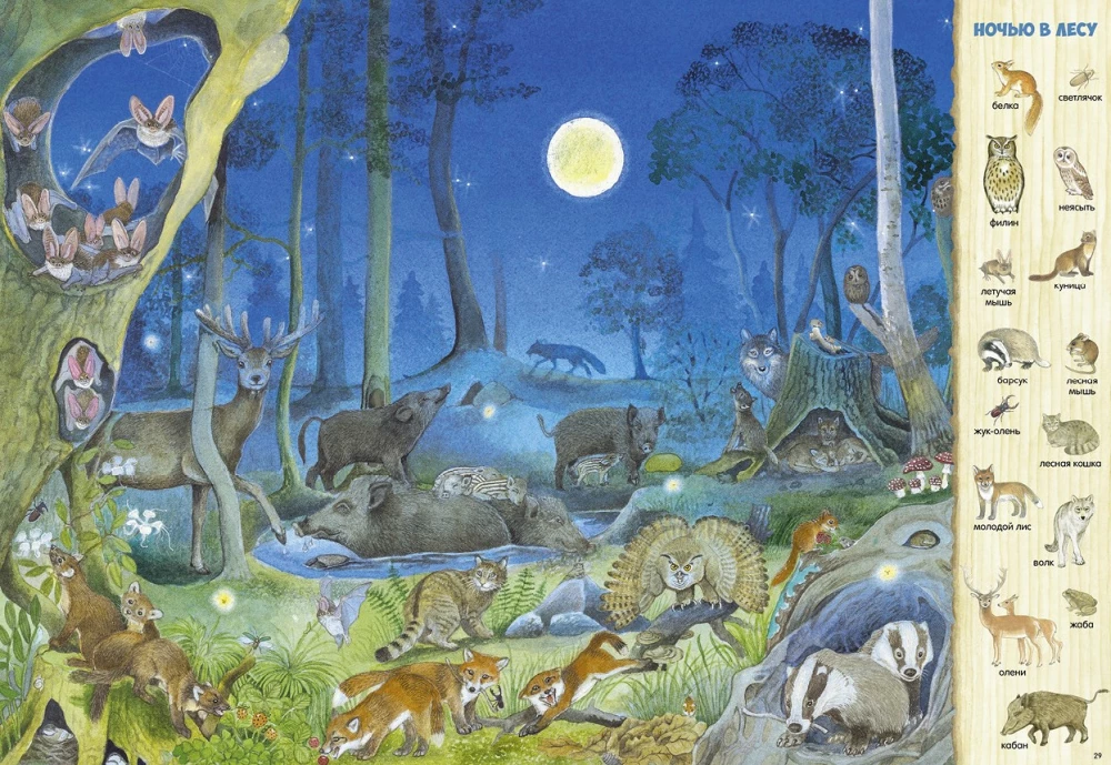 Finde und zeige. 1000 Tiere