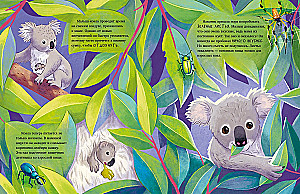 Kleiner Koala. Abenteuer im Eukalyptuswald