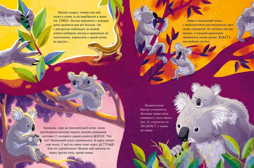 Kleiner Koala. Abenteuer im Eukalyptuswald