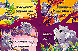 Kleiner Koala. Abenteuer im Eukalyptuswald