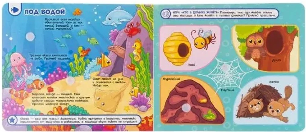 Kas kur dzīvo, kas ko ēd. Grāmata ar lipīgām uzlīmēm